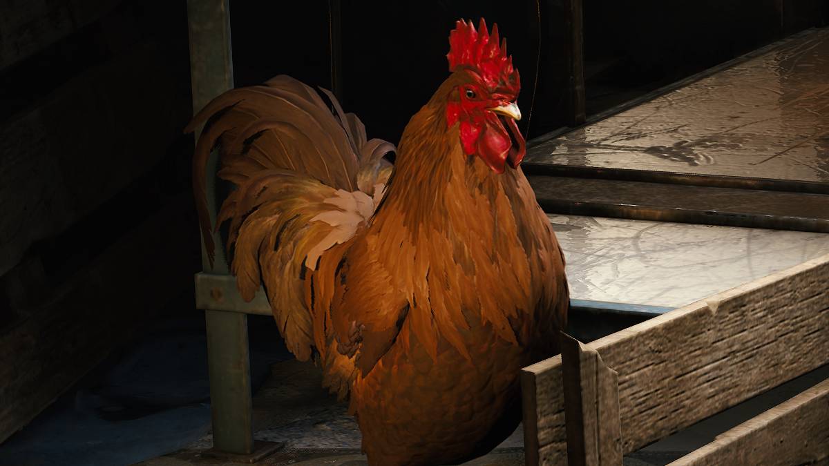 ARC Raiders scrappy the rooster